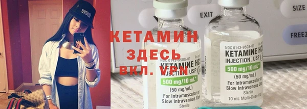 индика Инта