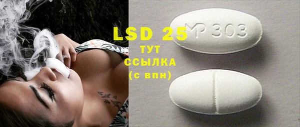 индика Инта