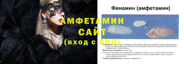 индика Инта