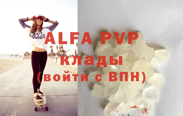 индика Инта