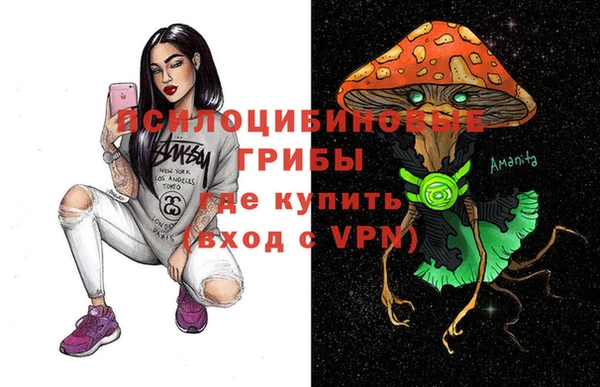 индика Инта
