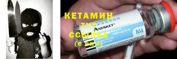 прущие грибы Инсар