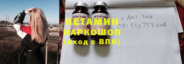индика Инта