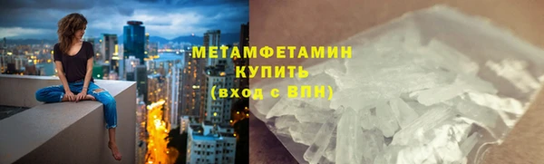 индика Инта