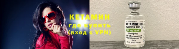 индика Инта