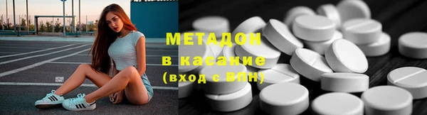 прущие грибы Инсар