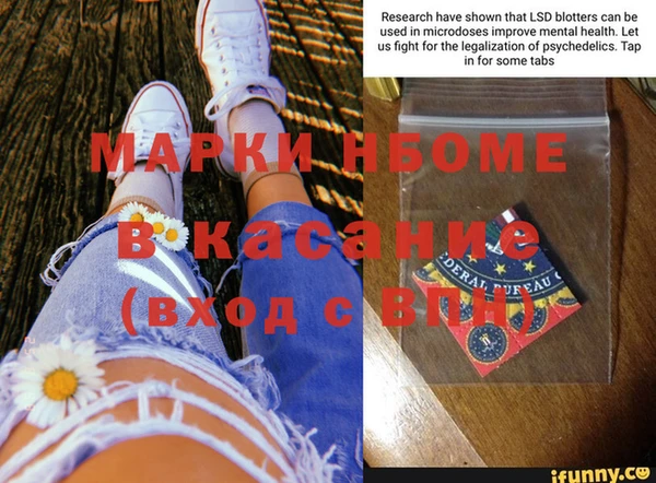 индика Инта
