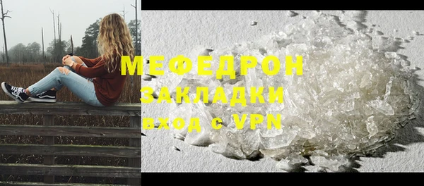 индика Инта