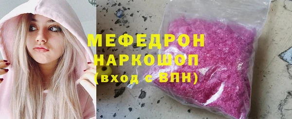 индика Инта