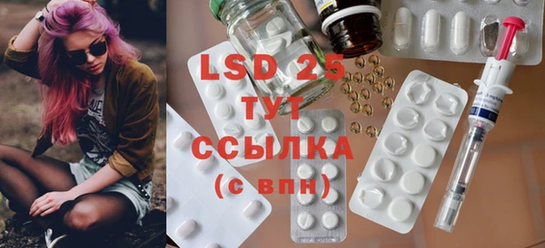 индика Инта