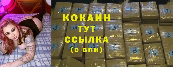 индика Инта