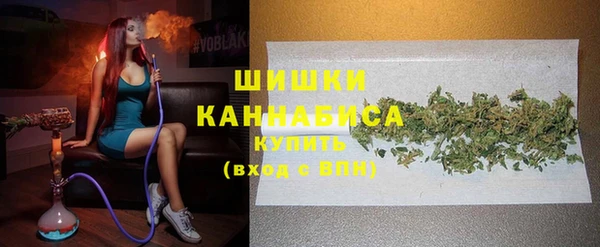 прущие грибы Инсар