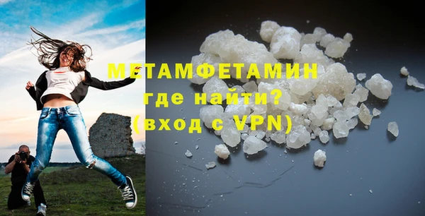 прущие грибы Инсар
