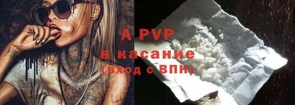 прущие грибы Инсар