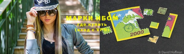 прущие грибы Инсар