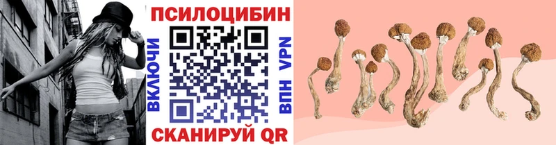 Купить  Калининск  Псилоцибиновые грибы Psilocybe 