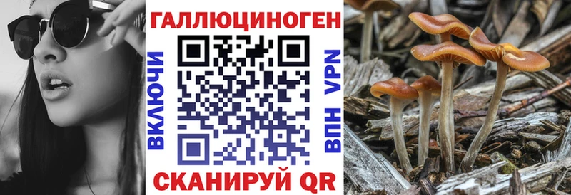 Галлюциногенные грибы мицелий Калининск